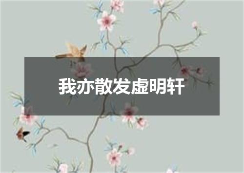 我亦散发虚明轩