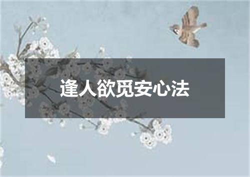 逢人欲觅安心法