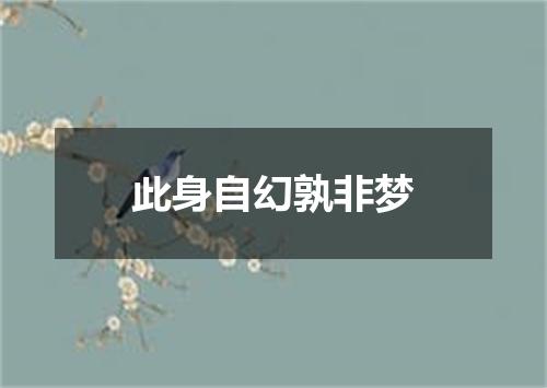 此身自幻孰非梦