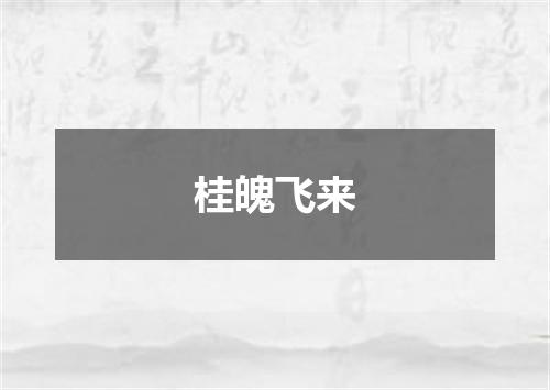 桂魄飞来