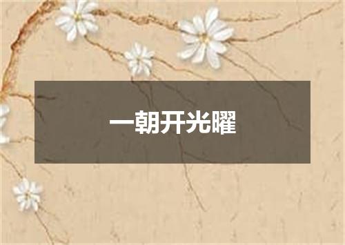 一朝开光曜
