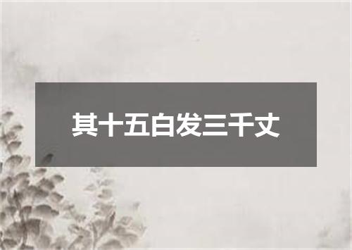 其十五白发三千丈