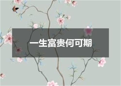 一生富贵何可期