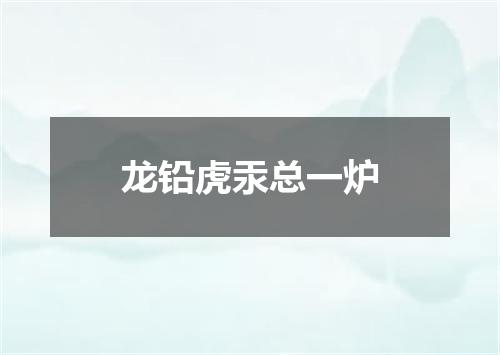 龙铅虎汞总一炉