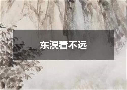 东溟看不远