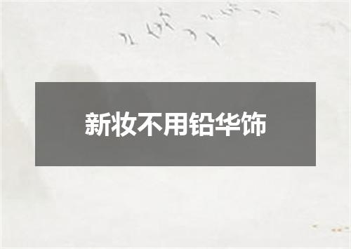 新妆不用铅华饰