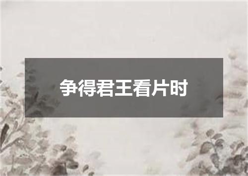 争得君王看片时