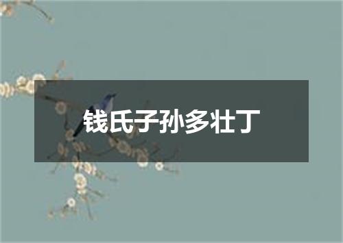 钱氏子孙多壮丁