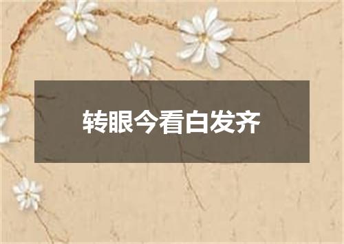 转眼今看白发齐