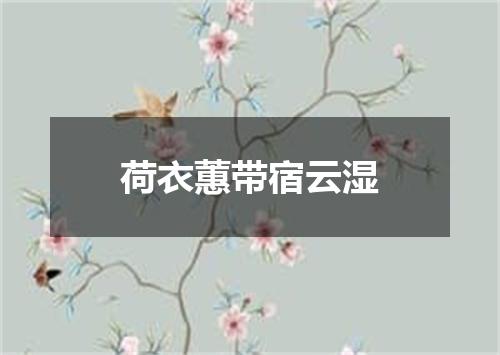 荷衣蕙带宿云湿