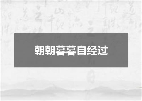 朝朝暮暮自经过