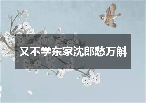 又不学东家沈郎愁万斛