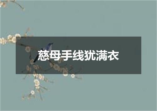 慈母手线犹满衣