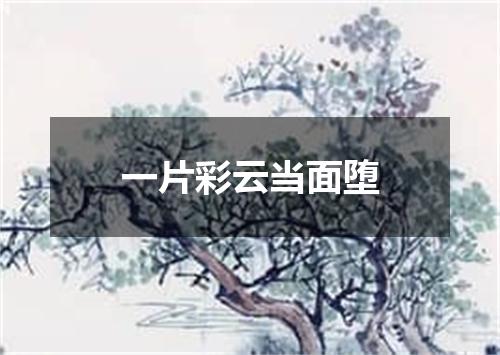 一片彩云当面堕