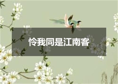 怜我同是江南客