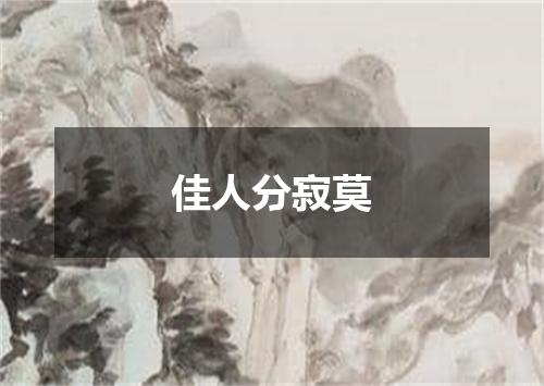 佳人分寂莫