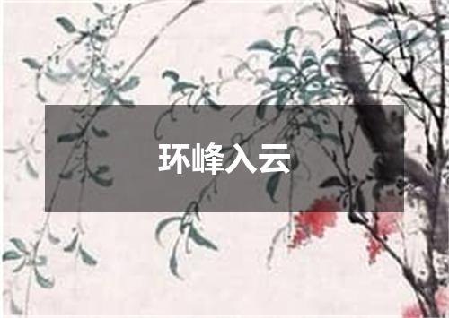 环峰入云
