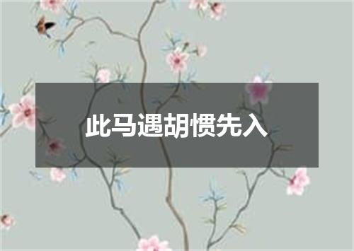 此马遇胡惯先入