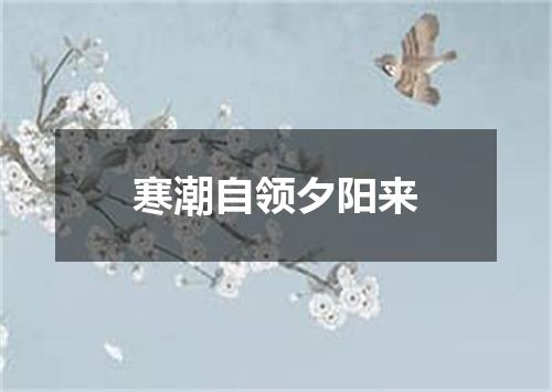 寒潮自领夕阳来