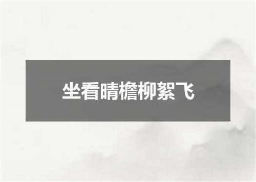 坐看晴檐柳絮飞