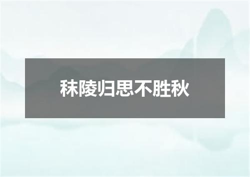 秣陵归思不胜秋