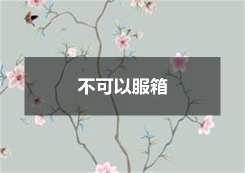 不可以服箱