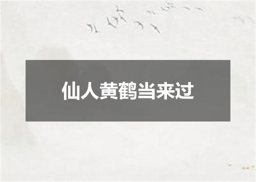 仙人黄鹤当来过