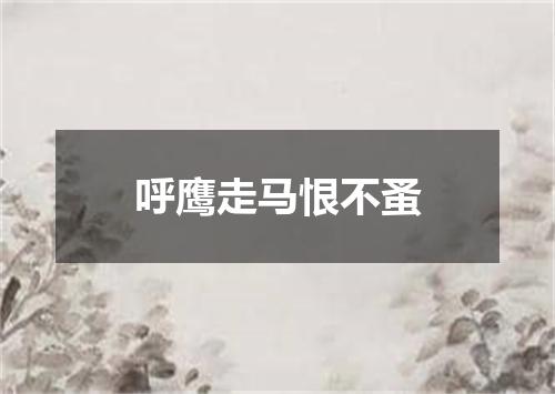 呼鹰走马恨不蚤