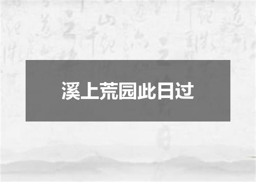 溪上荒园此日过