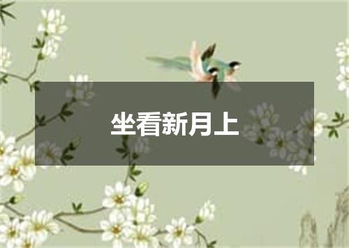 坐看新月上