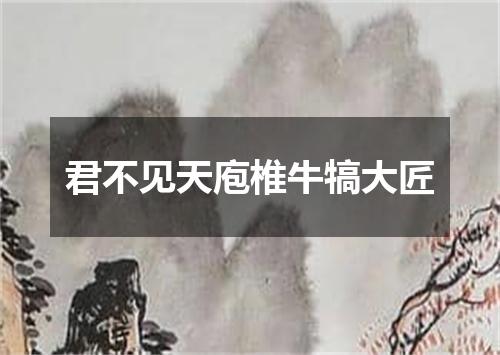 君不见天庖椎牛犒大匠