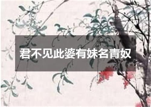 君不见此婆有妹名青奴
