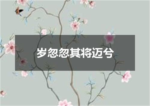 岁忽忽其将迈兮