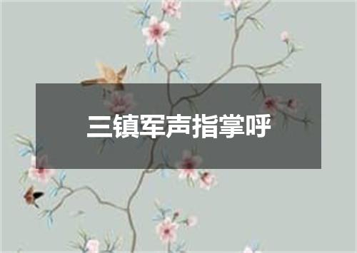 三镇军声指掌呼
