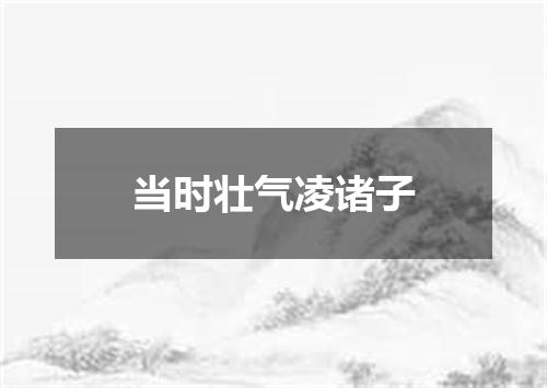 当时壮气凌诸子