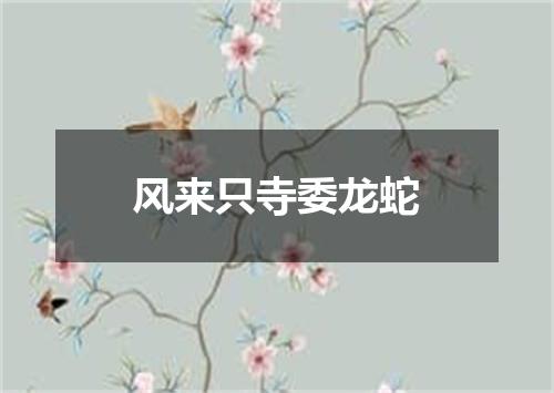 风来只寺委龙蛇
