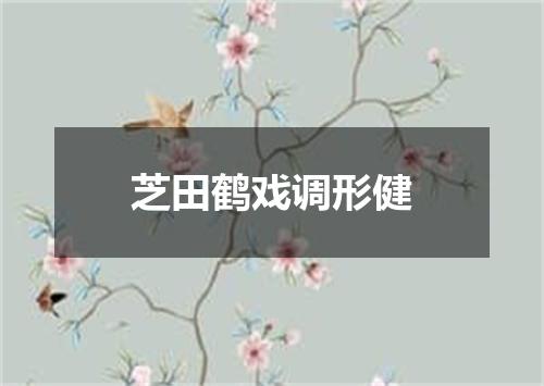 芝田鹤戏调形健