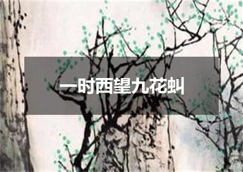 一时西望九花虯