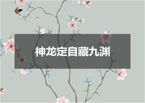 神龙定自藏九渊