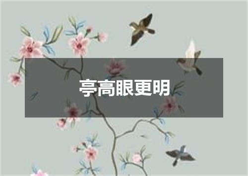 亭高眼更明