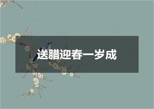 送腊迎春一岁成