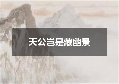 天公岂是藏幽景