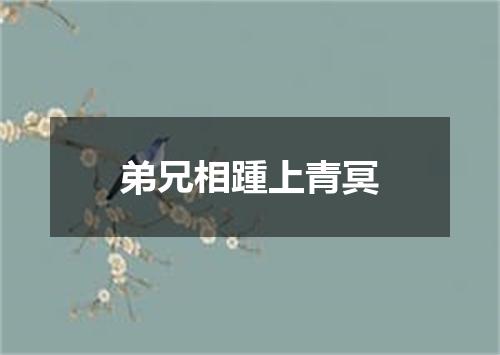 弟兄相踵上青冥