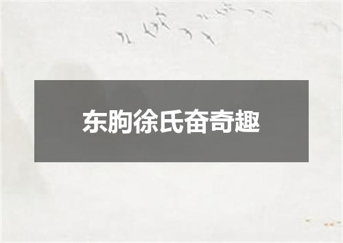 东朐徐氏奋奇趣