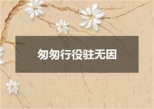 匆匆行役驻无因