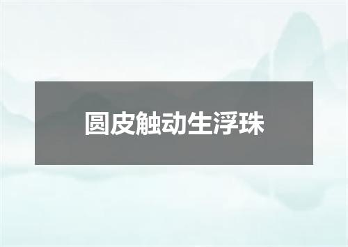 圆皮触动生浮珠