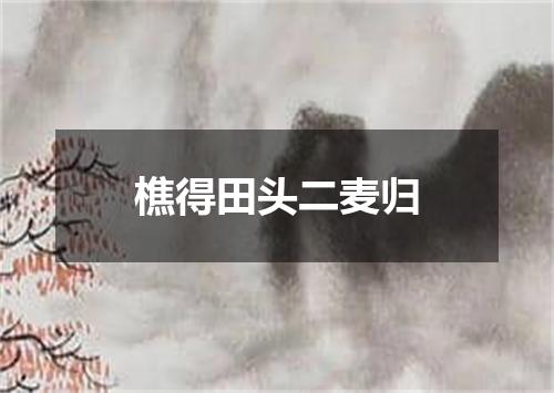 樵得田头二麦归