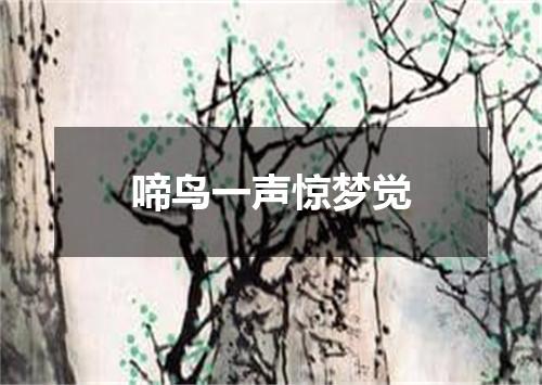 啼鸟一声惊梦觉