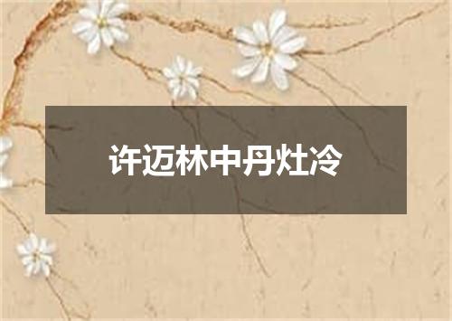 许迈林中丹灶冷