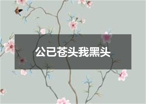 公已苍头我黑头